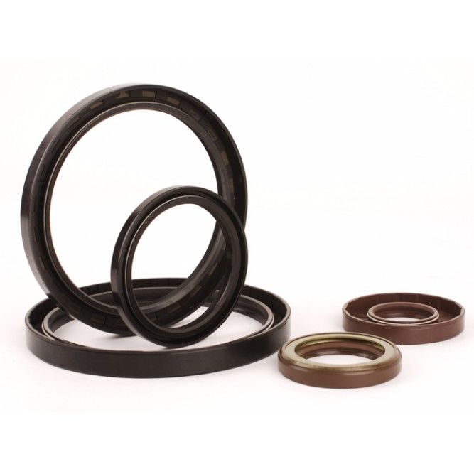 PTFE 304 FP Loại U-Seal cho xi lanh thủy lực